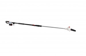 ZMDP251 20V Cordless Pole Saw