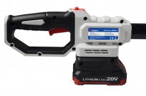 ZMDP251 20V Cordless Pole Saw